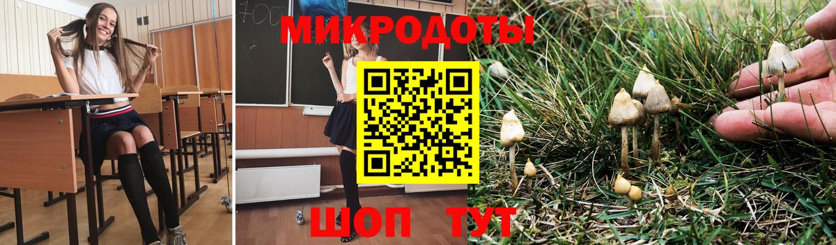 Псилоцибиновые грибы MAGIC MUSHROOMS  Вход с VPN  Егорьевск 